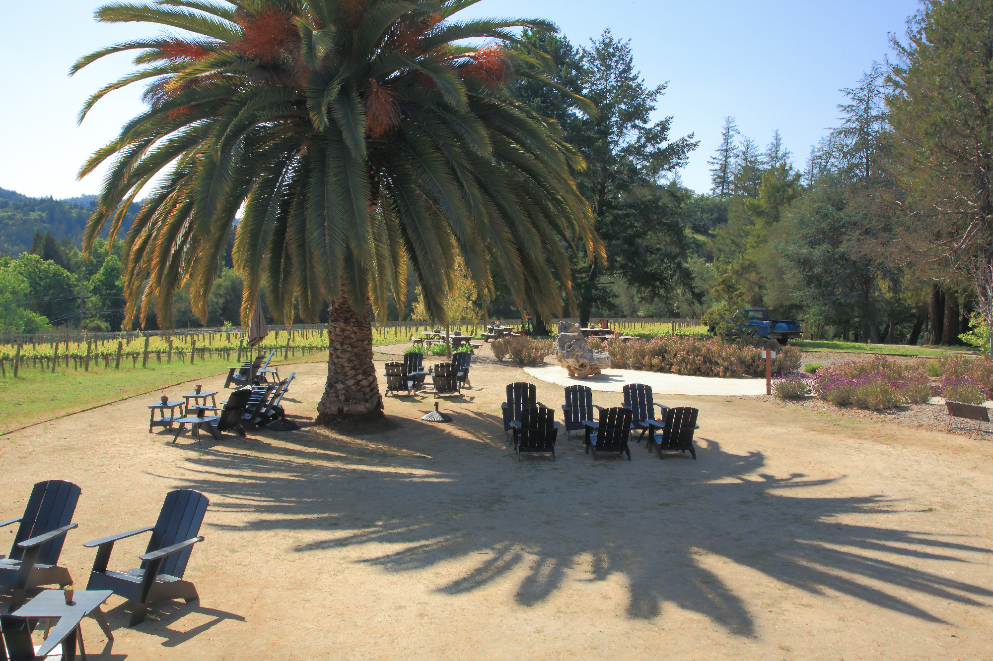 The "Beach" at CAST Wines.