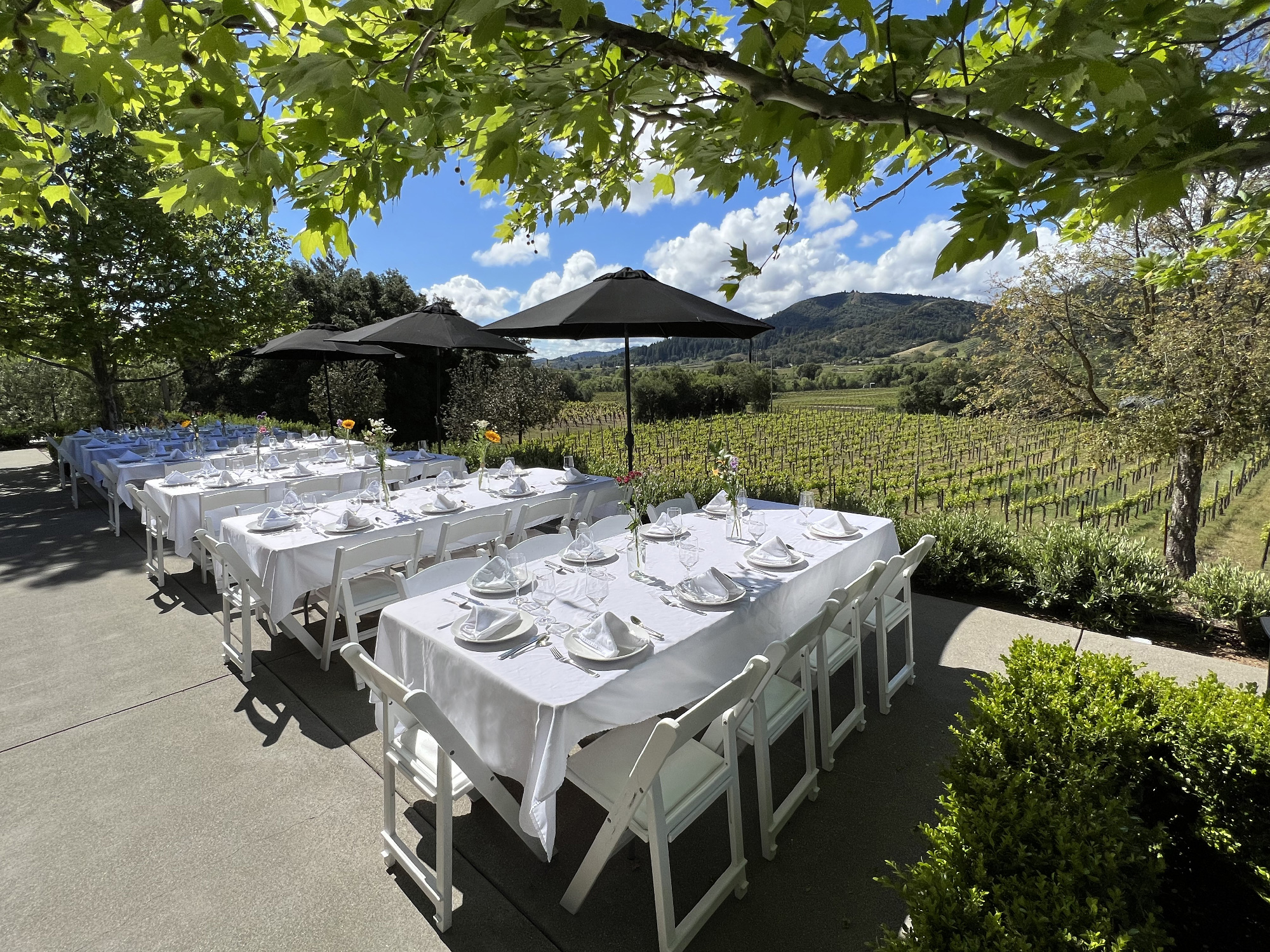 The Upper Terrace at CAST Wines