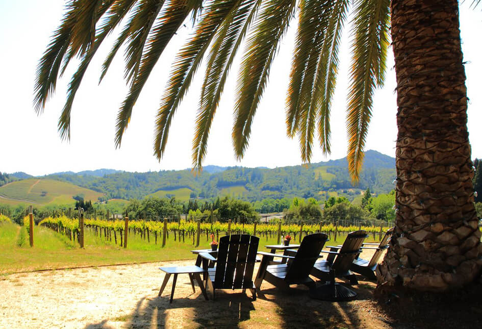 CAST Wines Social Club